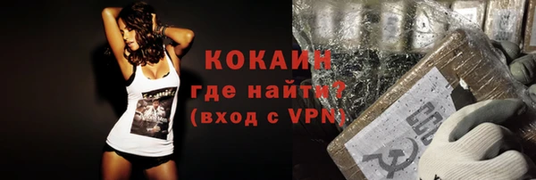 прущие грибы Новочеркасск