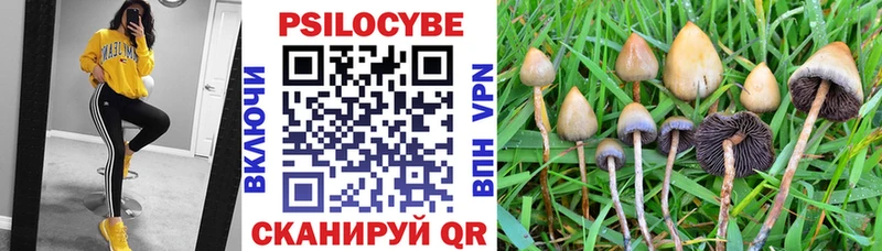 закладка  Шахунья  Галлюциногенные грибы GOLDEN TEACHER 